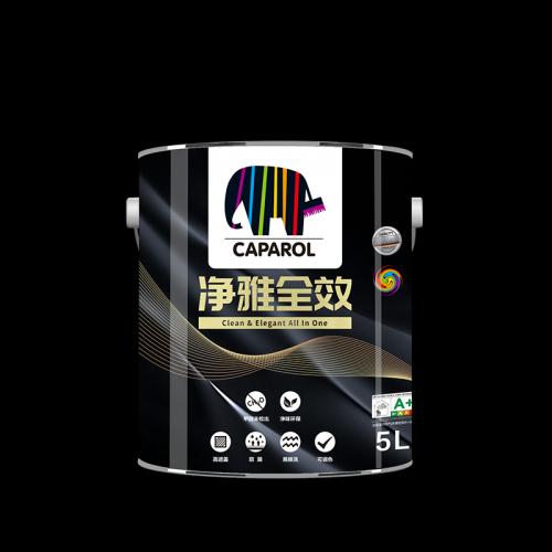 凈雅全效墻面漆